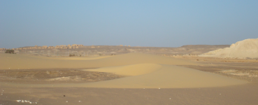 Dünentypen